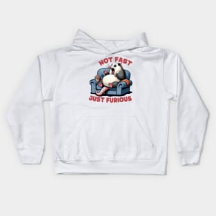 Not Fast Just Furious Funny Angry Opossum Kids Hoodie